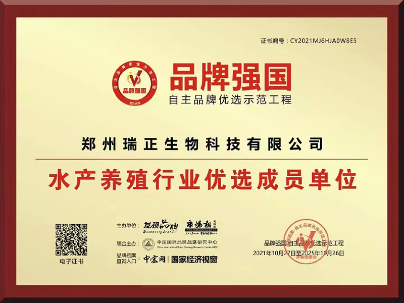 榮譽(yù)證書三