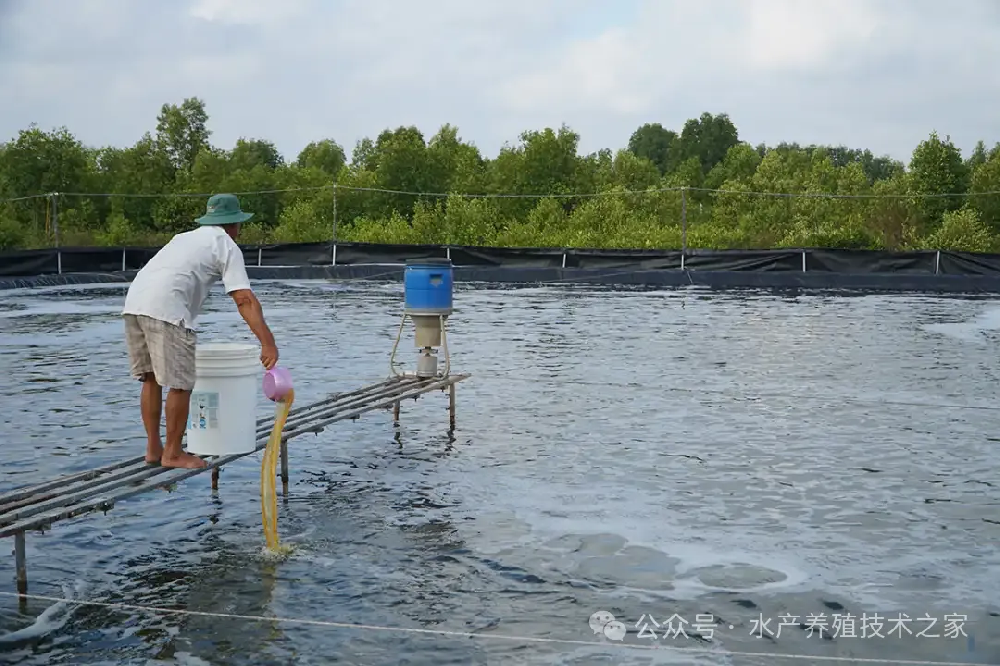 從精選到投喂，實(shí)現(xiàn)成本直降 20%